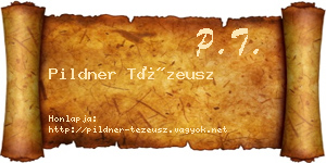 Pildner Tézeusz névjegykártya